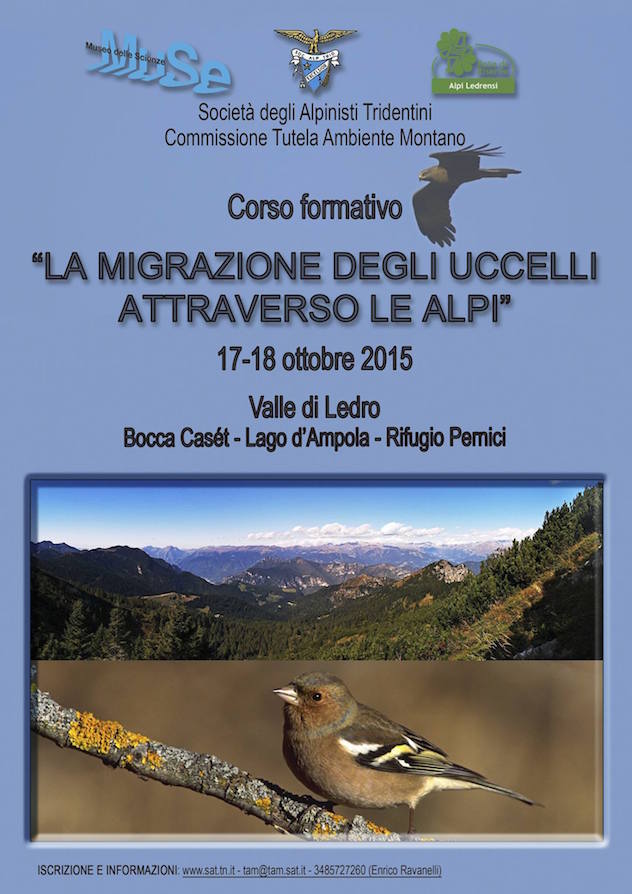 La migrazione degli uccelli attraverso le alpi